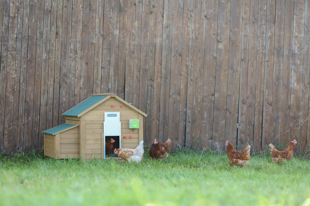 Apriporta automatico per pollame