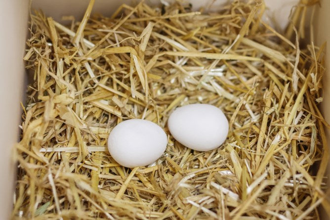 Uova di nido di legno