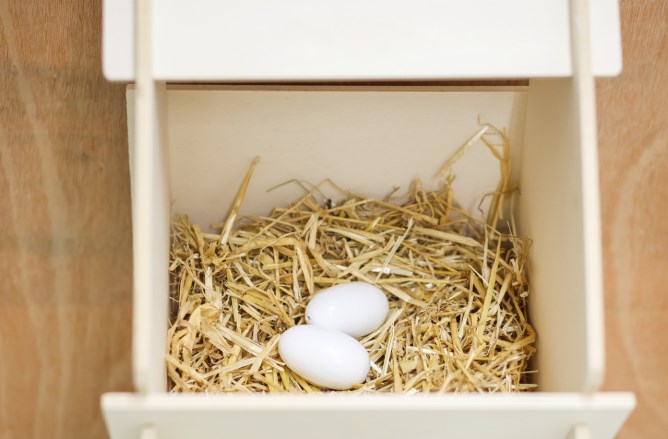 Uova di nido di legno