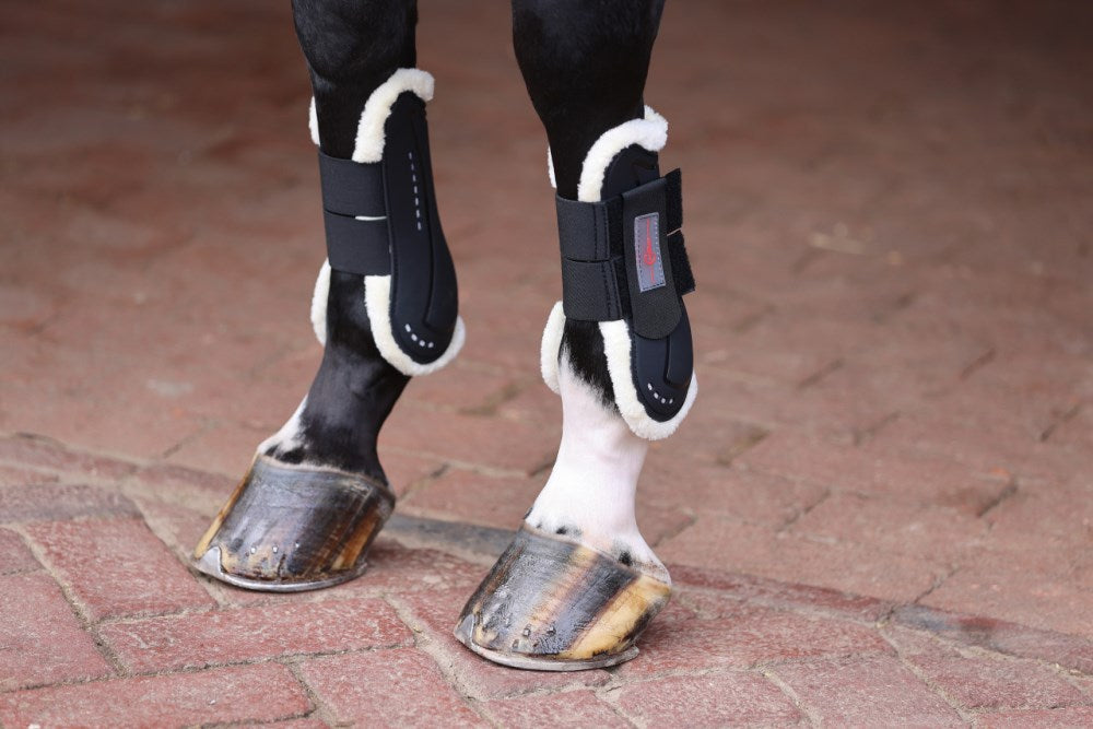 TecAir gaiters for horses