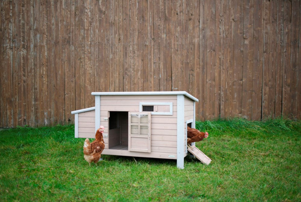 Pollaio Emma in Legno