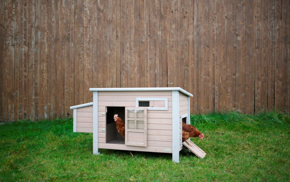 Pollaio Emma in Legno