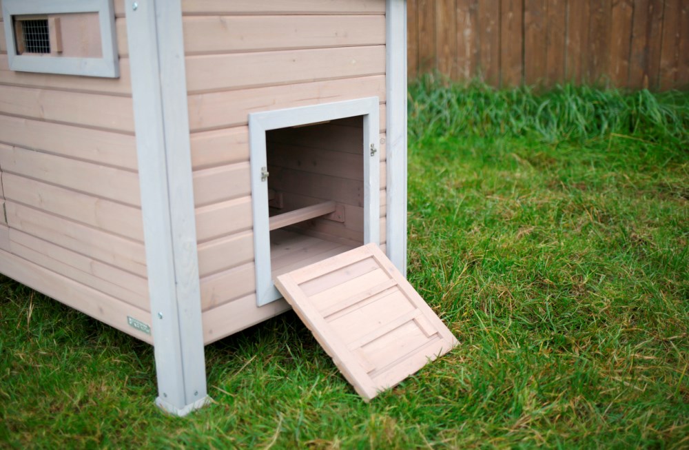 Pollaio Emma in Legno