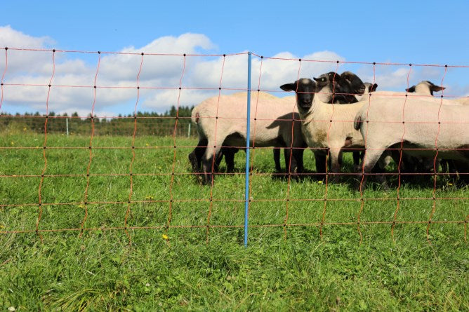 Rete per le pecore  AKO OviNet Premium Protezione