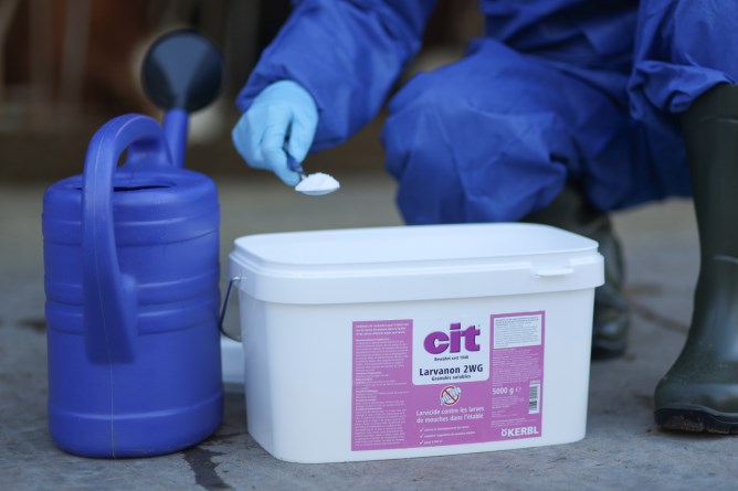 cit Larvanon 2 SG