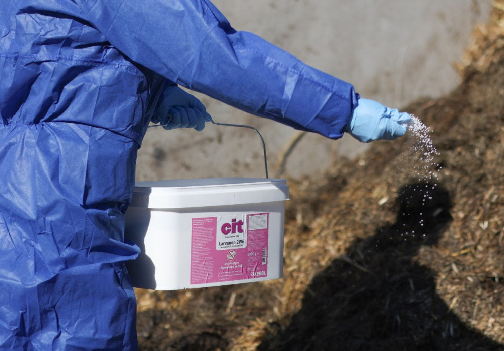 cit Larvanon 2 SG