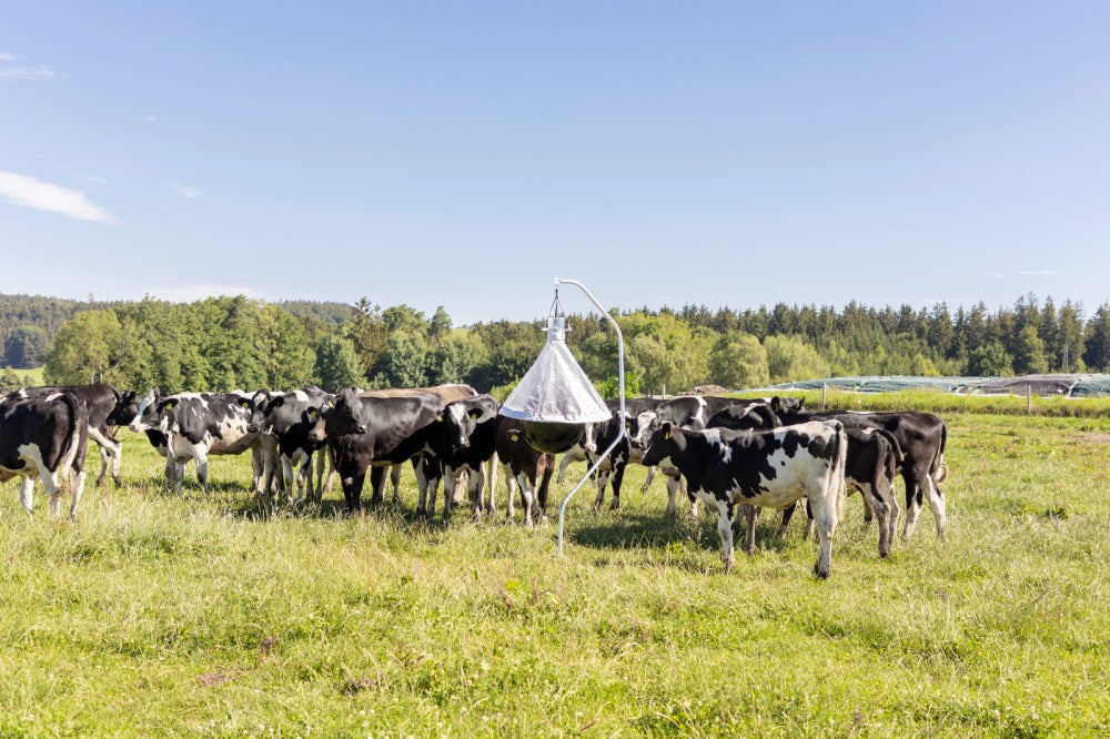 Trappola TaonX per Tafani – Efficace e Atossica