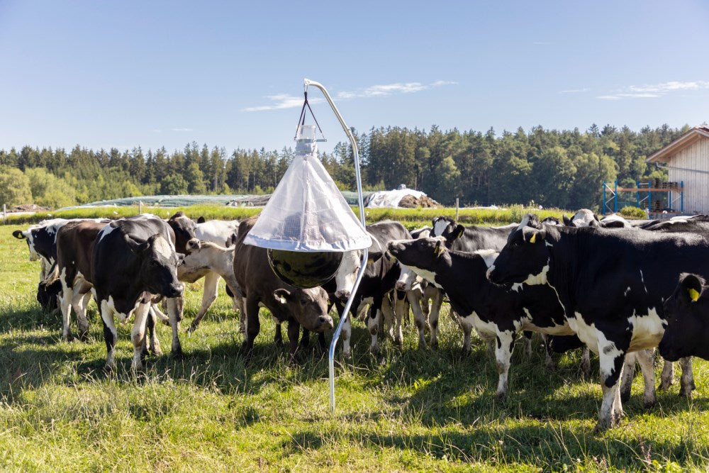 Trappola TaonX per Tafani – Efficace e Atossica