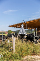 Trappola TaonX per Tafani – Efficace e Atossica