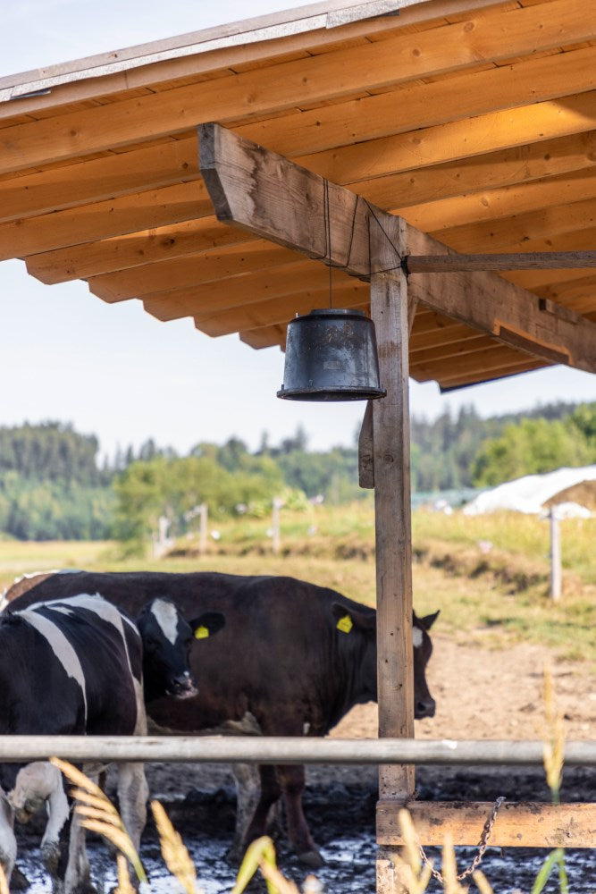 Plastikeimer für Bremsenkleber