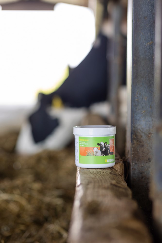 Pasta Podoseptan per Zoccoli e Unghie 450ml