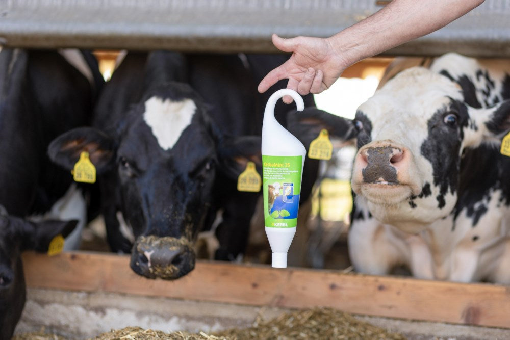 Euterpflegemittel Kerbamint 35 für Kühe