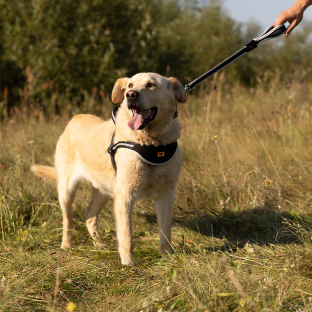 Ergo Comforts G Nylonleine mit ergonomischem Griff für Hunde