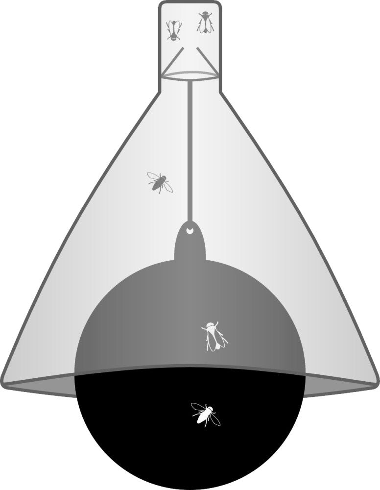 Trappola TaonX per Tafani – Efficace e Atossica