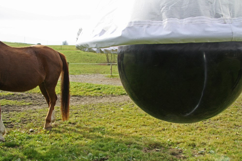 Trappola TaonX per Tafani – Efficace e Atossica