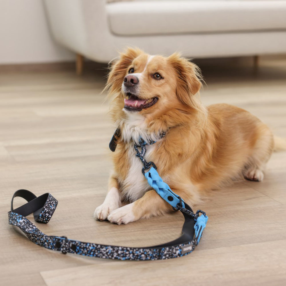 Collare Resistente Lima per Cani