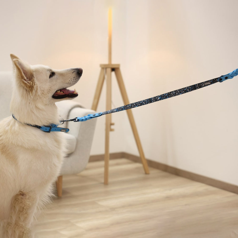 Collare Resistente Lima per Cani