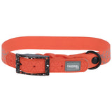 Collare per Cani Puno – Extra Resistente con Stampa Riflettente e Chiusura in Acciaio