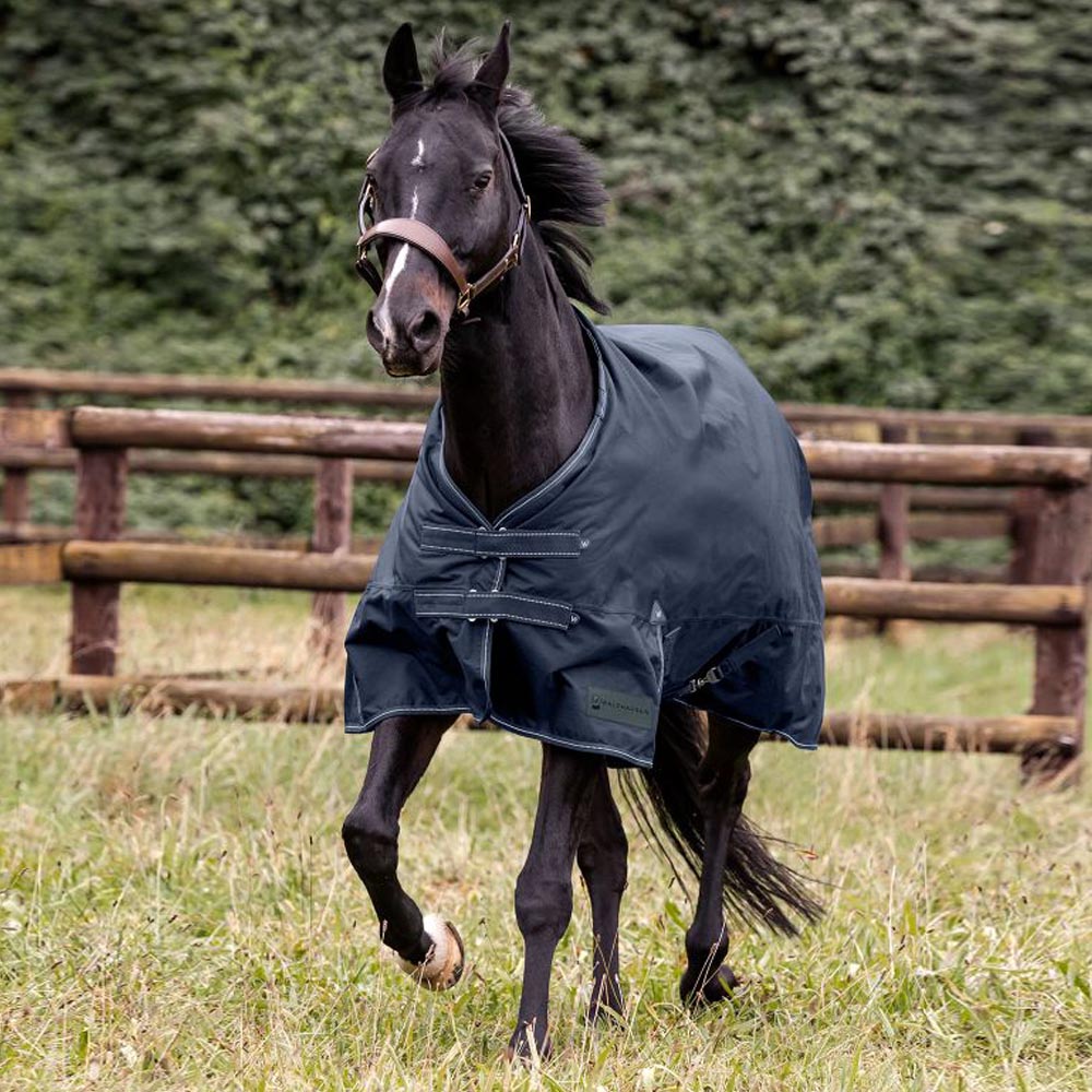 Coperta da Esterno Invernale per Cavalli Arctic - 200g