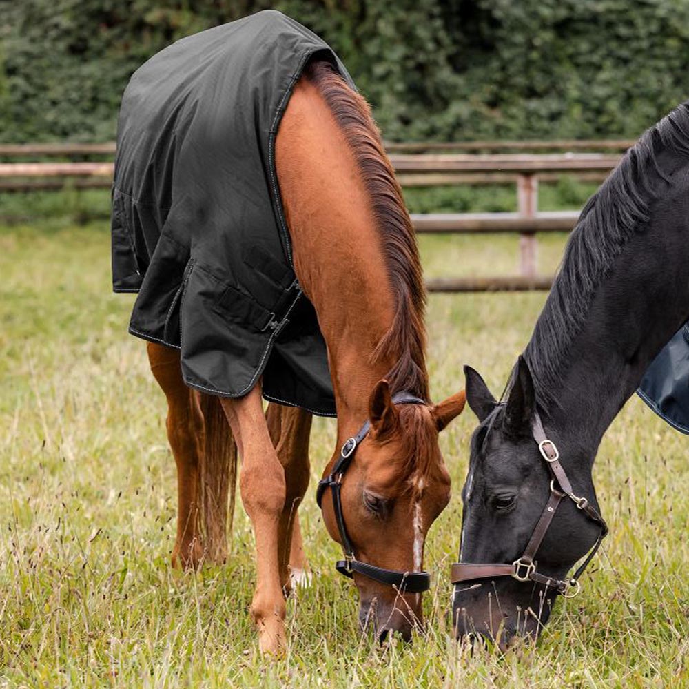 Coperta Nordic Esterno per cavalli - 200g