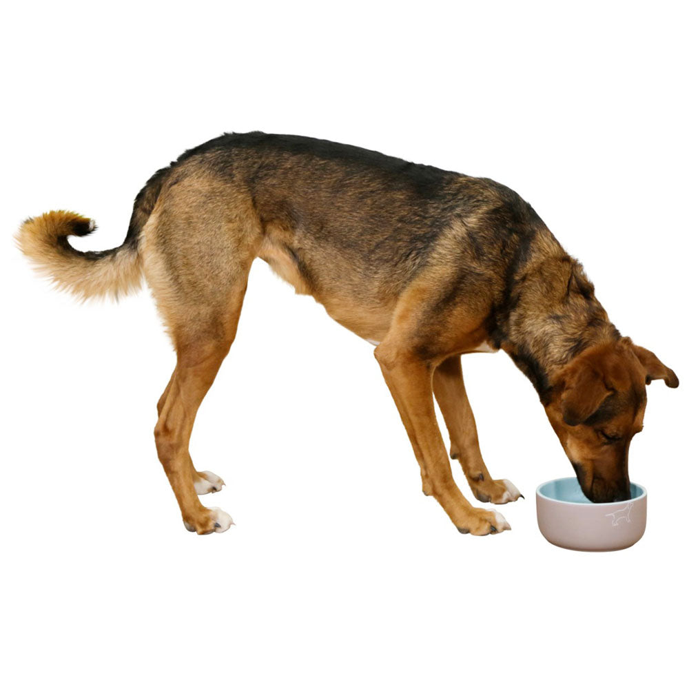 Ciotola in ceramica per cani Spirit con motivo