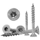 Vite Testa Svasata Bianca per Legno SNK 5 TX 25