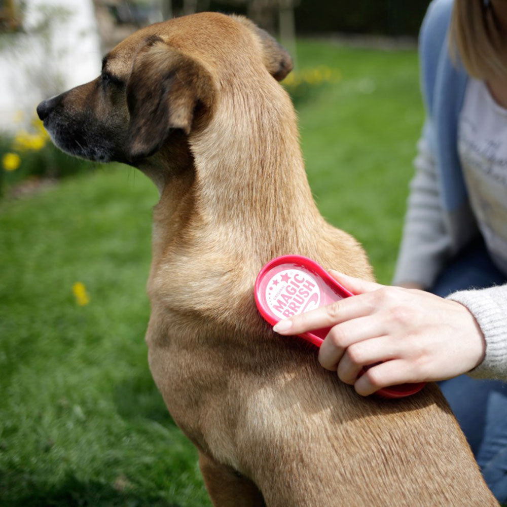 MagicBrush per cani