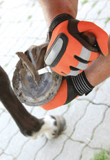 Coltello per zoccoli SuperProfi per la cura degli zoccoli dei cavalli