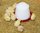 Tränke aus Kunststoff für Küken und Hühner
