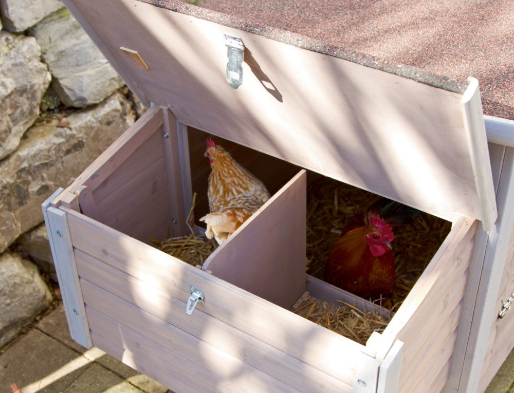 Pollaio Emma in Legno