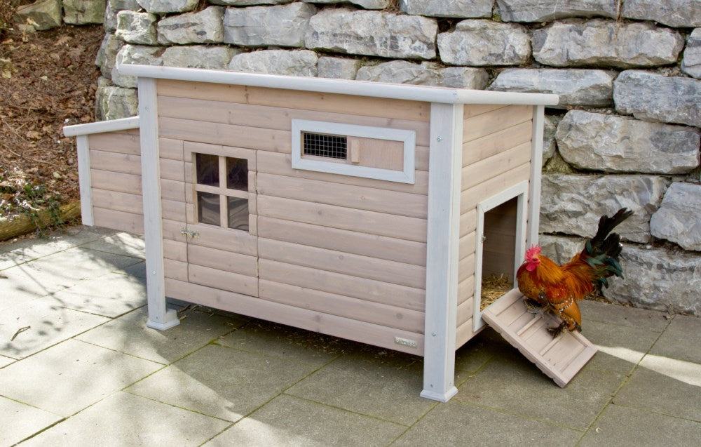 Pollaio Emma in Legno