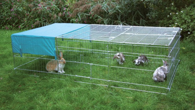 Recinti per conigli grandi
