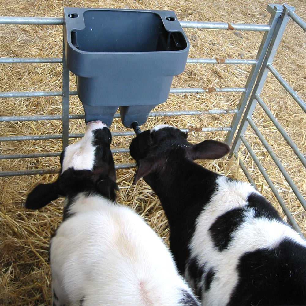 Accessori per l'allevamento dei vitelli Abbeveratoio Milkbar