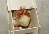 Nests for chickens made of poplar wood