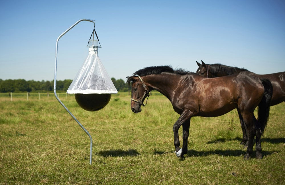 Trappola TaonX per Tafani – Efficace e Atossica