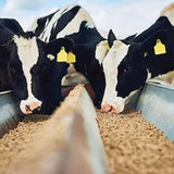 Mangimi Beikircher– Mangime per vacche da latte 17/27S