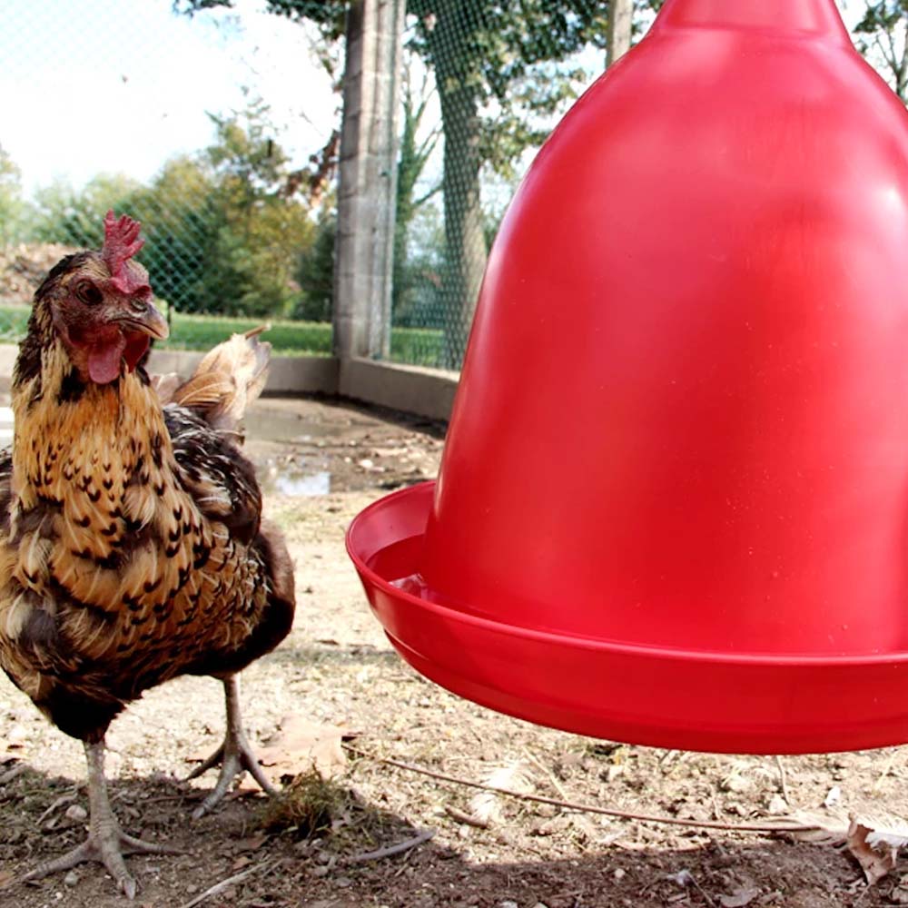 Automatic poultry drinker 