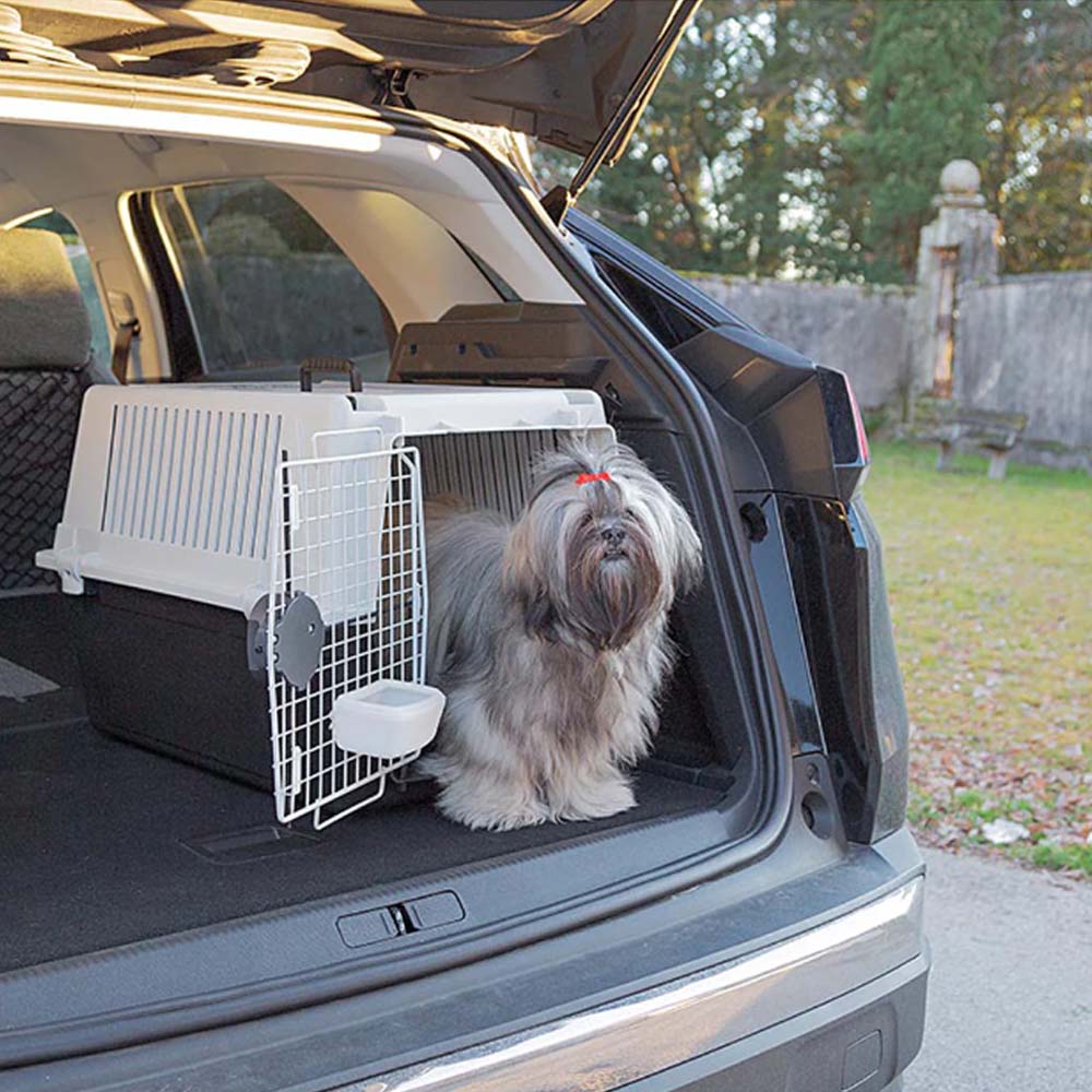 Transportbox für mittelgroße Hunde