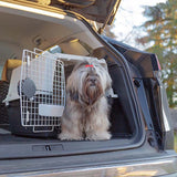 Transportbox für mittelgroße Hunde