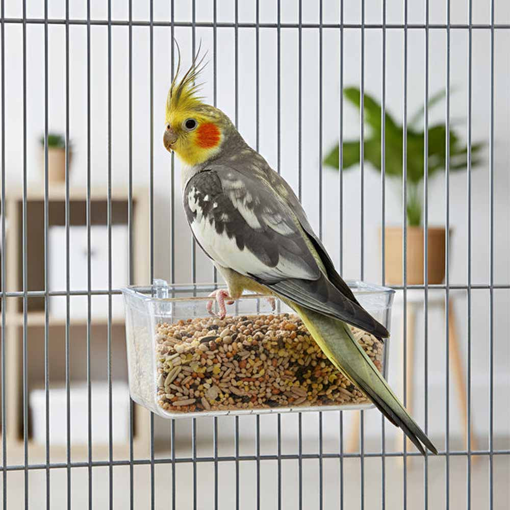 Feeder FPI 4510 for Budgies and Cockatiels
