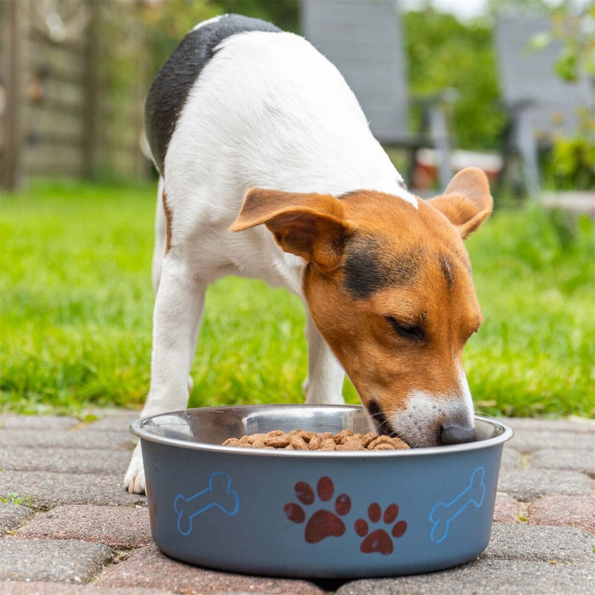 DEUKA DOG alimento vitale 5 kg per cani adulti normalmente attivi