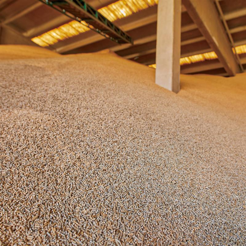 Beikircher Premium Pellet di legno ENplus A1 – sfuso, consegna in autobotte