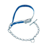 Nylon calf collar, blue/white colour, with leather trimming and single E 5 chain