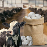 Beikircher Futtermittel – Wildsalz Natursteine