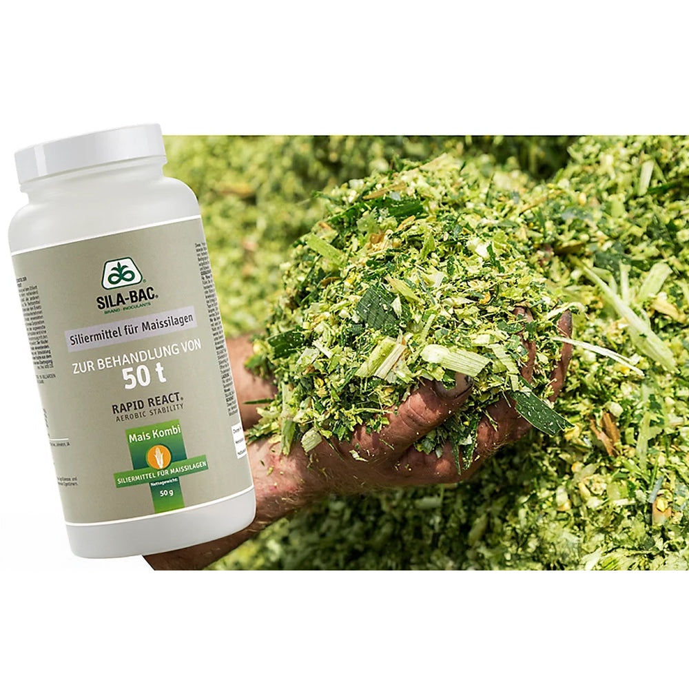 Additivi insilati Pioneer 11A44 Silabac Stab 50g