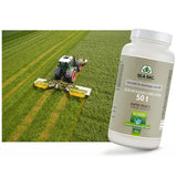 Additivi insilati Pioneer 11A44 Silabac Stab 50g