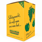 Cartone di stoccaggio per il Bag in Box