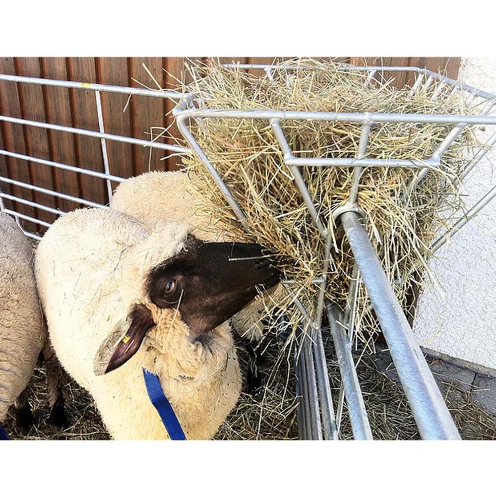 Hay rack for dividers