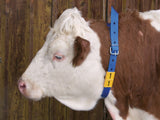 Neck marking collar for cows