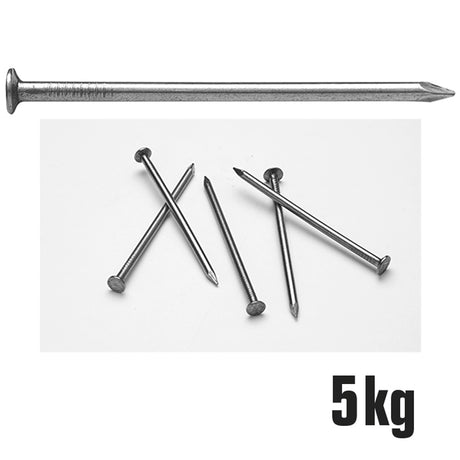 Chiodi a Testa Piana - 5kg